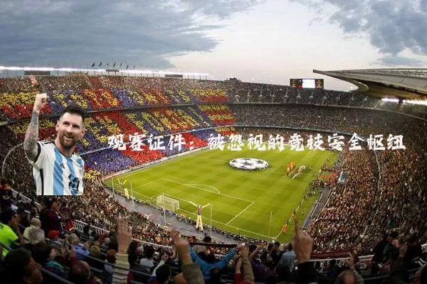 观赛证件:被忽视的竞技安全枢纽