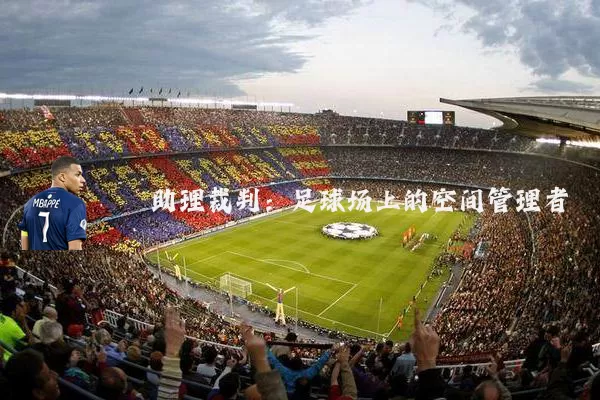 助理裁判:足球场上的空间管理者